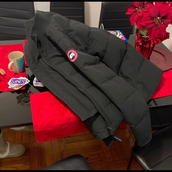 Canada goose